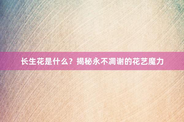 长生花是什么？揭秘永不凋谢的花艺魔力
