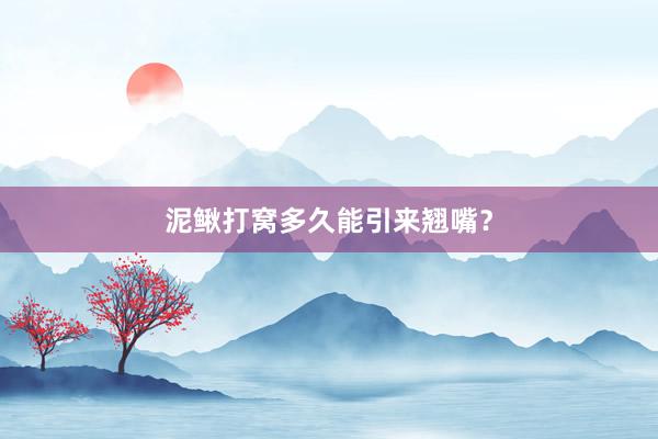泥鳅打窝多久能引来翘嘴？